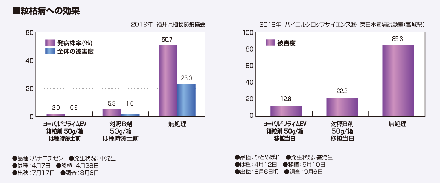 紋枯病への効果