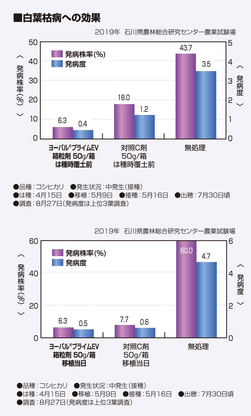 白葉枯病への効果