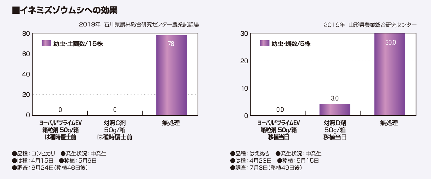 イネミズゾウムシへの効果