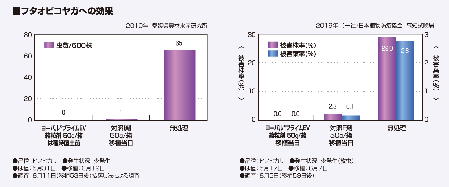 フタオビコヤガへの効果