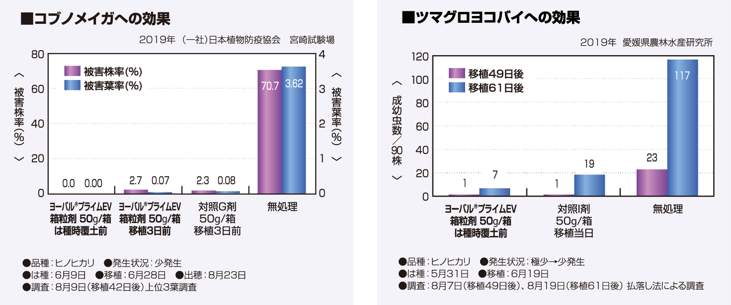 コブノメイガ、ツマグロヨコバイへの効果