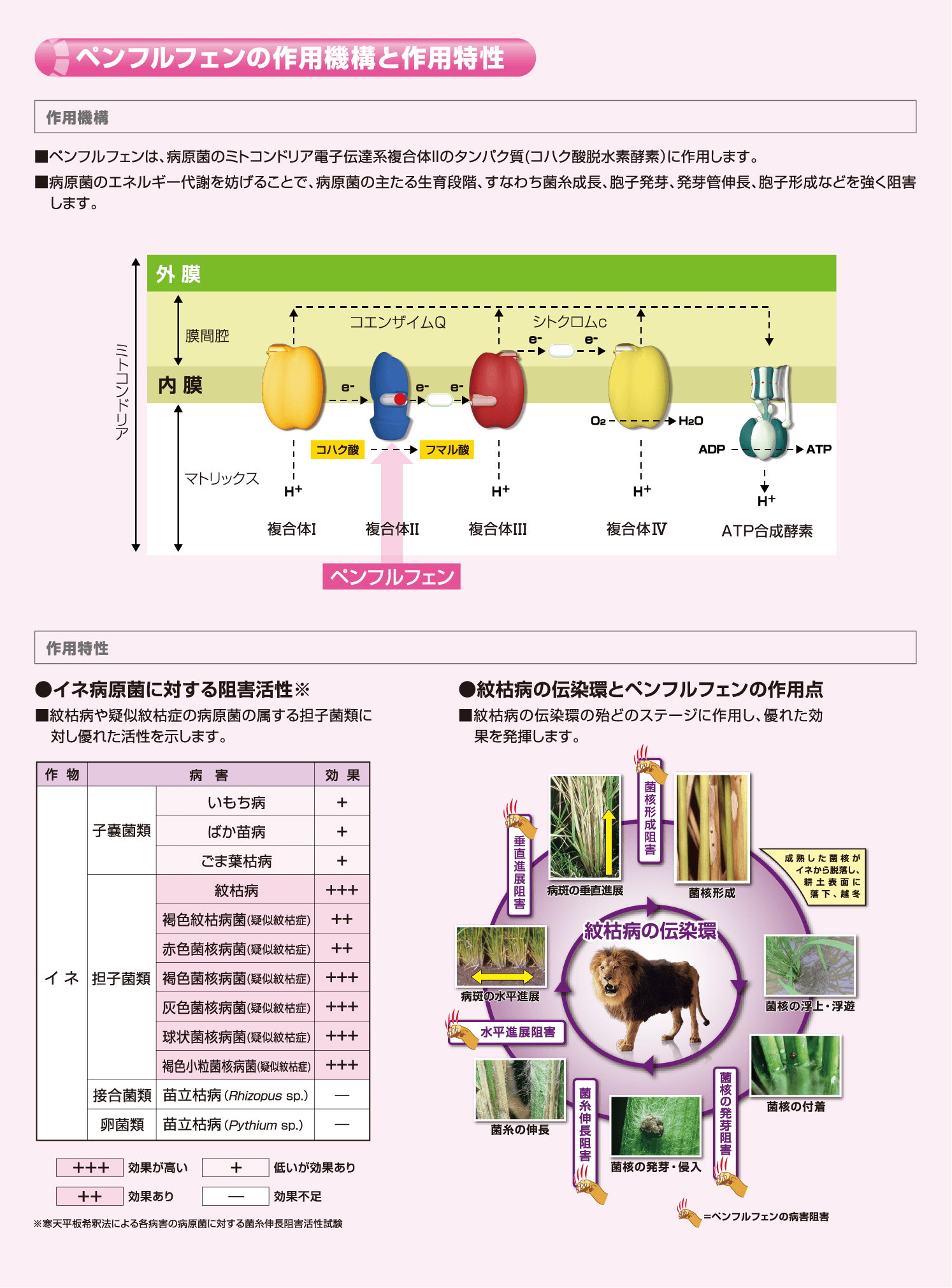 ペンフルフェン