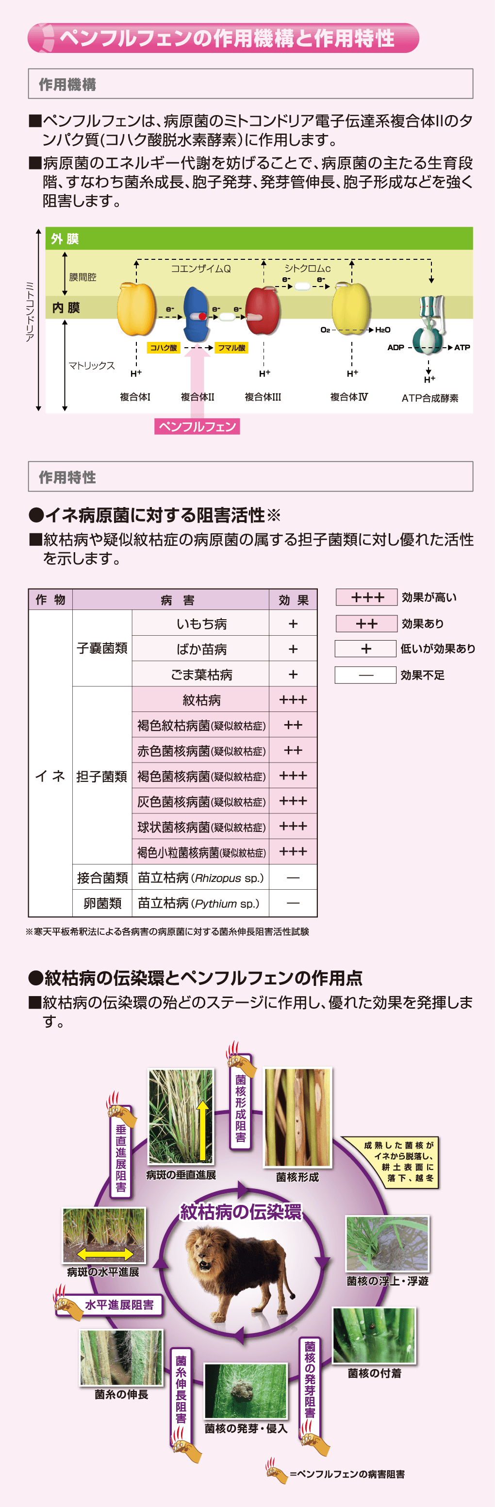 ペンフルフェン