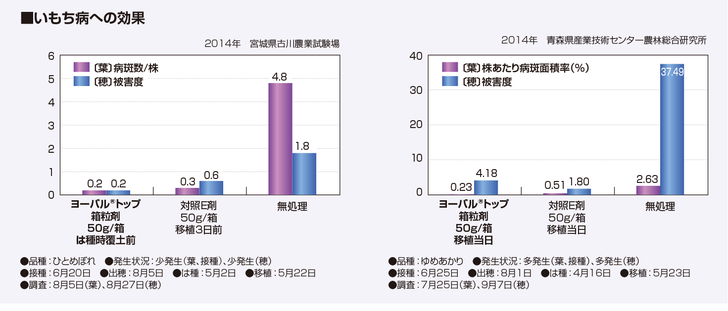 イネいもち病への効果