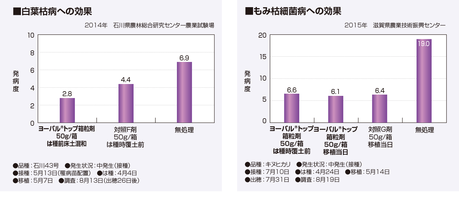 イネシ白葉枯病への効果、イネもみ枯細菌病への効果