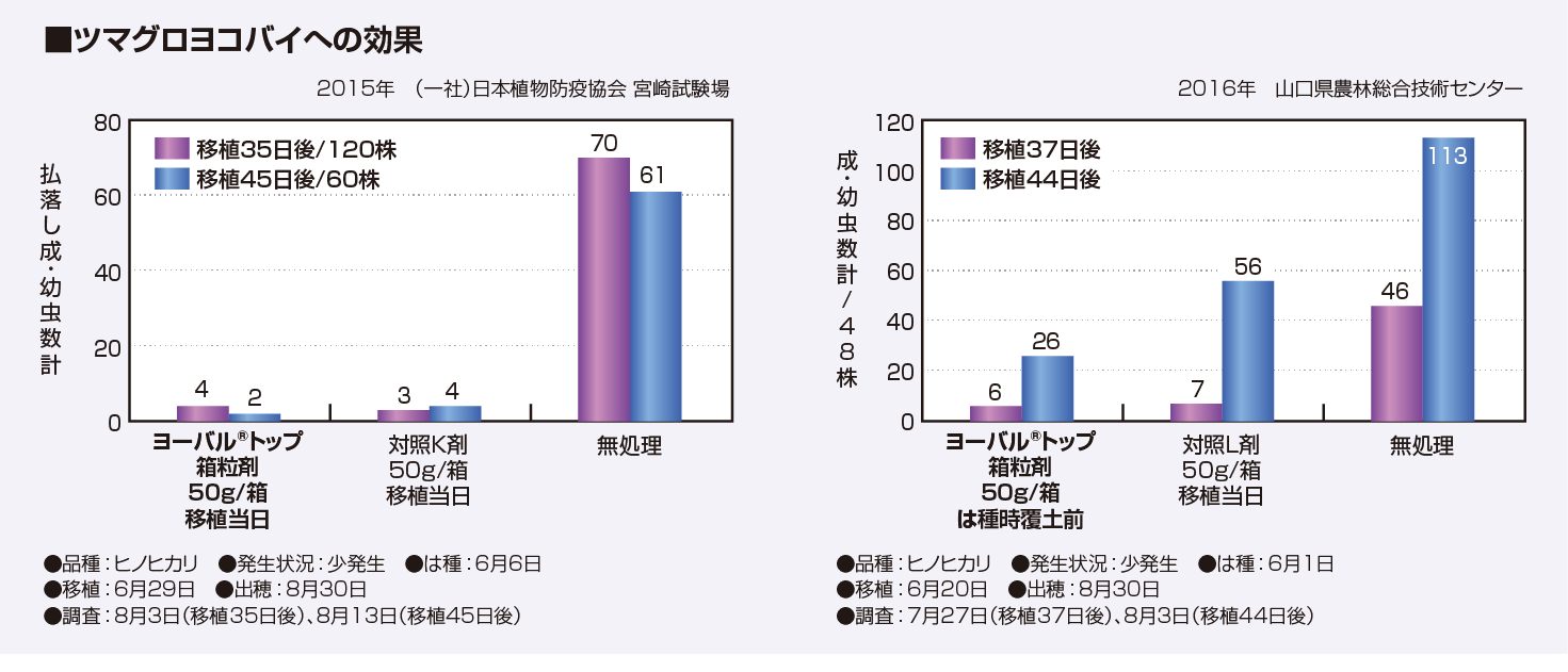 ツマグロヨコバイへの効果