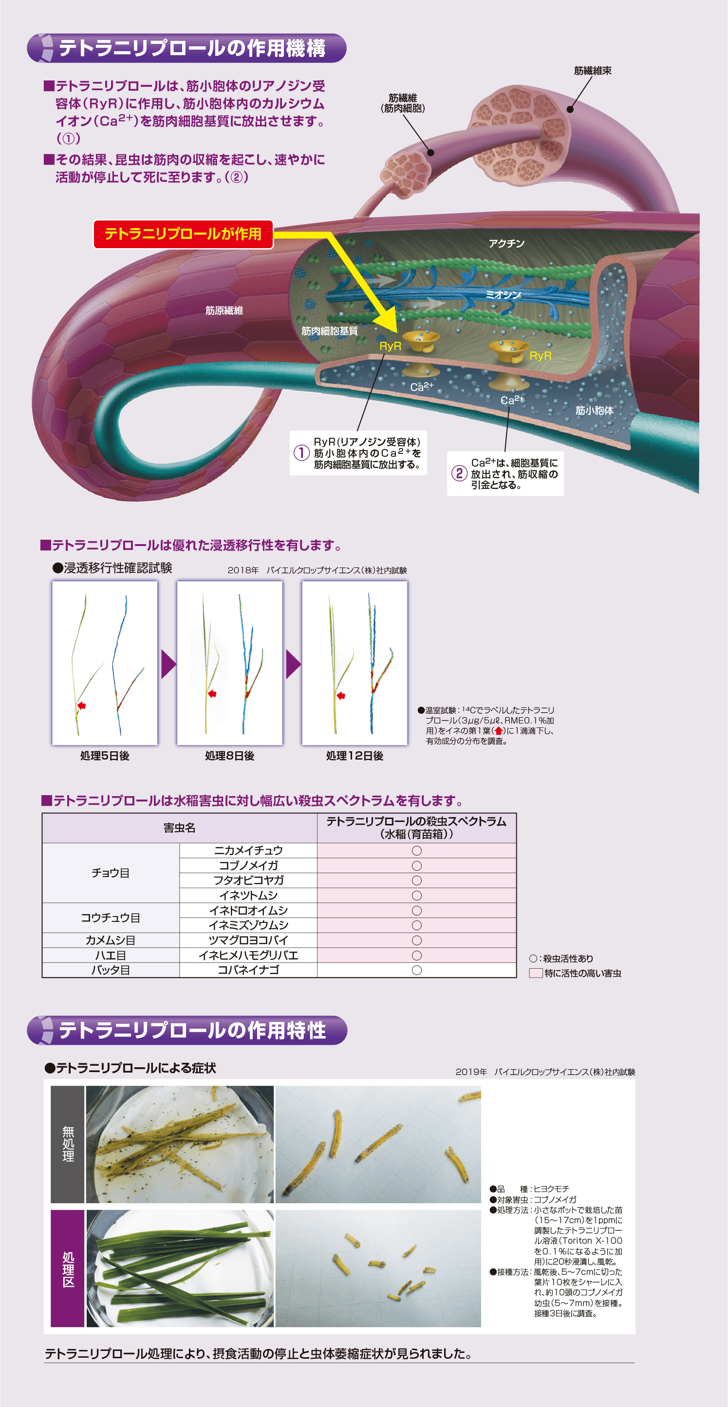 テトラニリプロール