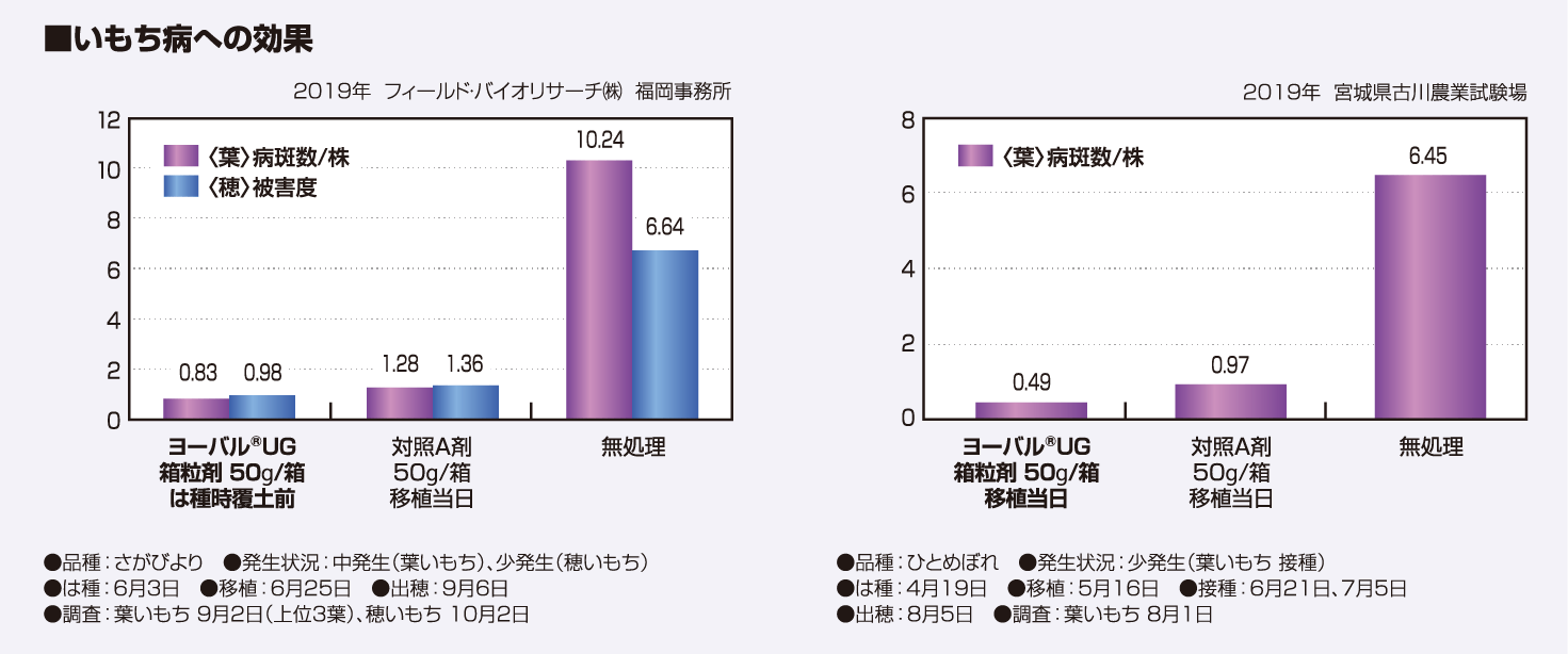 いもち病への効果