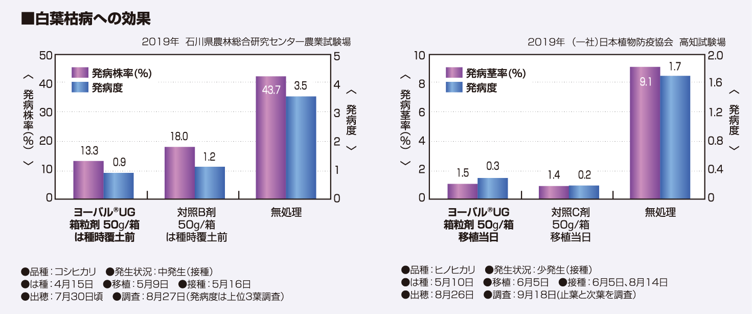 白葉枯病への効果