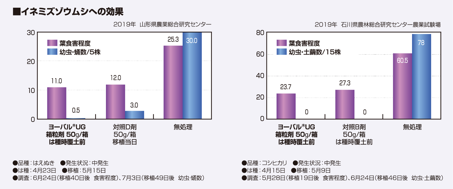 イネミズゾウムシへの効果