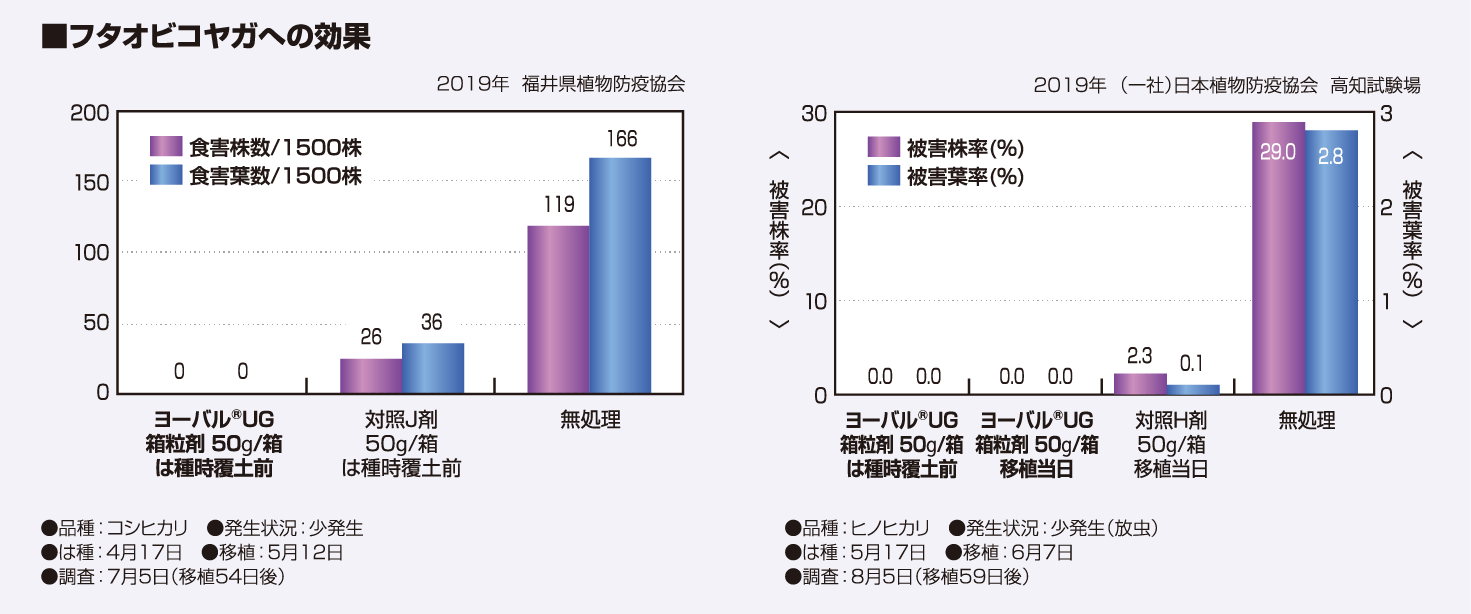 フタオビコヤガへの効果