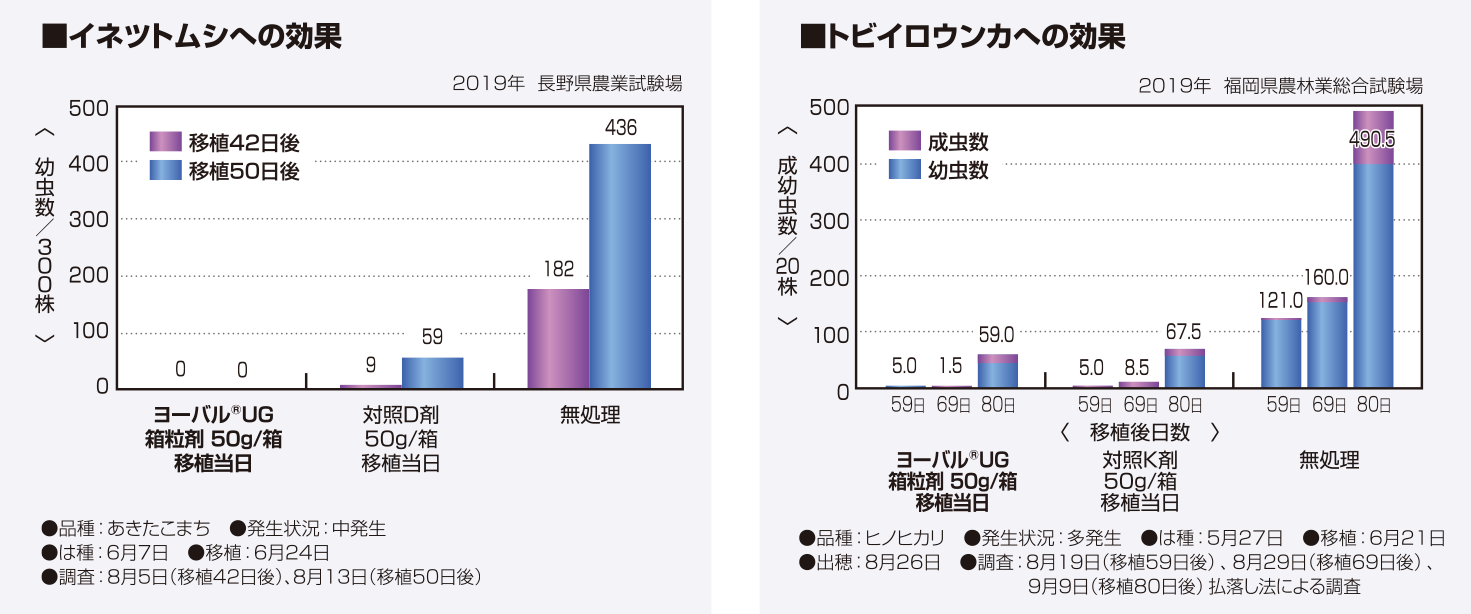 イネツトムシへの効果／トビイロウンカへの効果