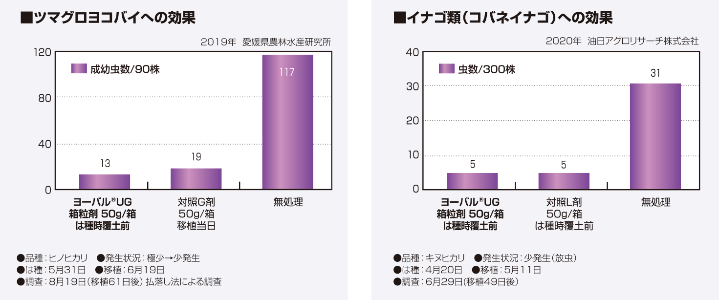 ツマグロヨコバイへの効果／イナゴ類（コバネイナゴ）への効果