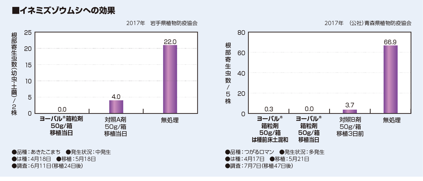 イネミズゾウムシへの効果