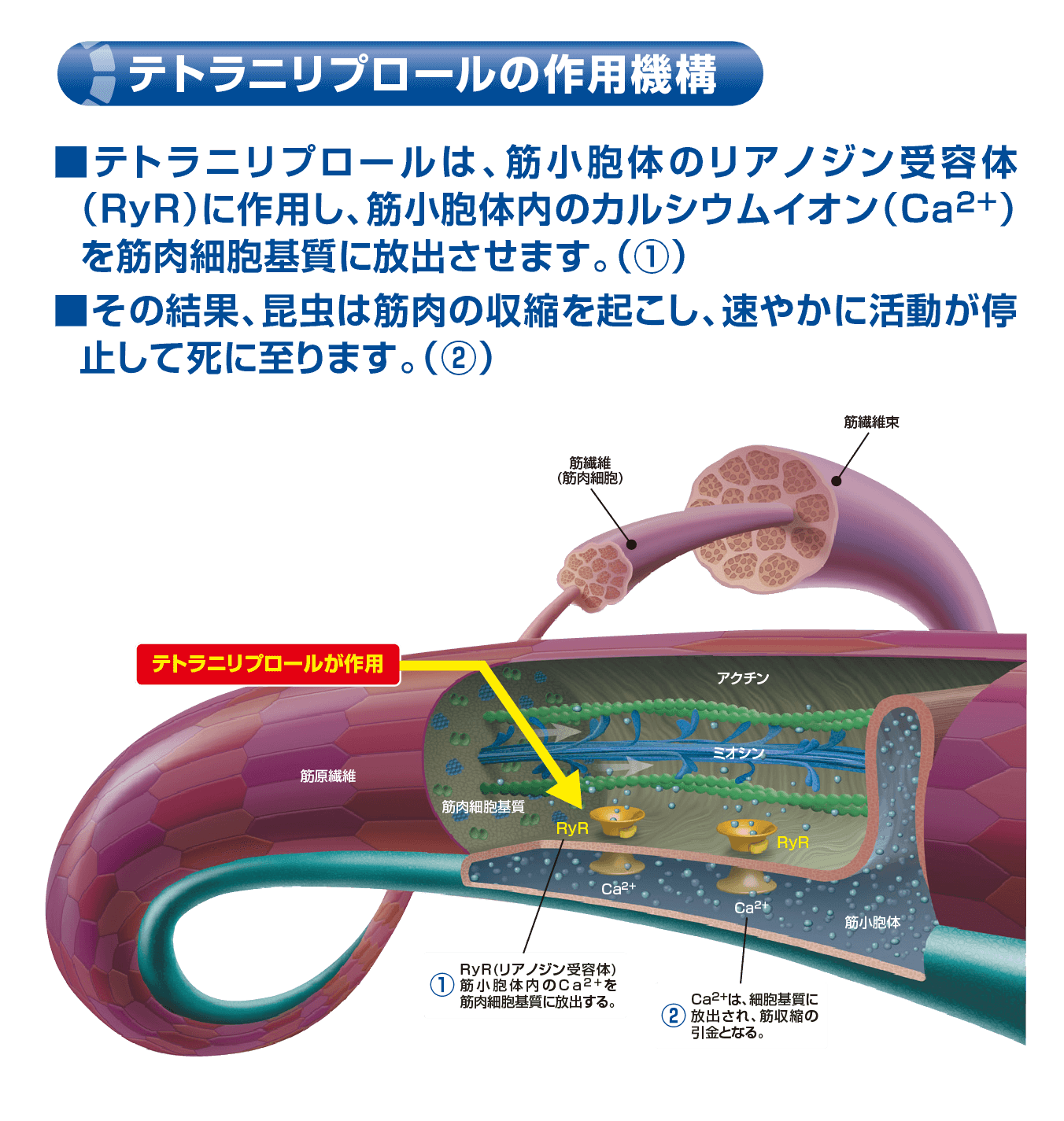 テトラニリプロール