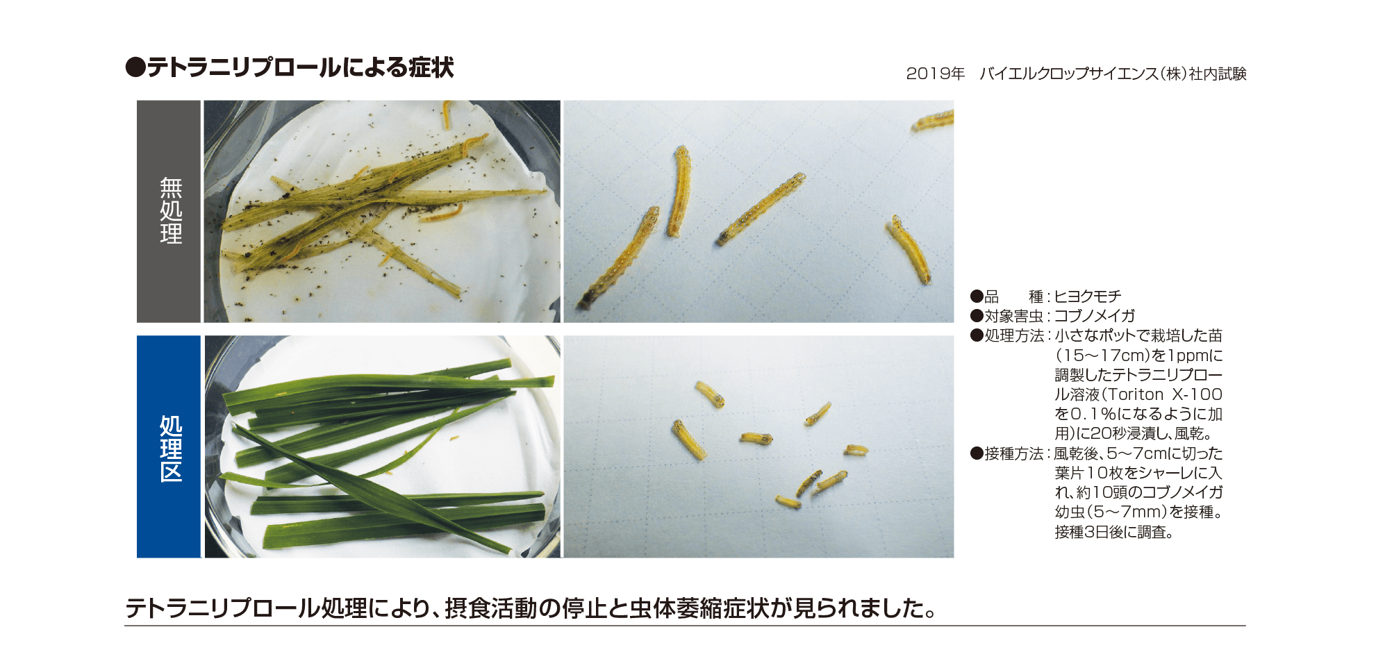 テトラニリプロール