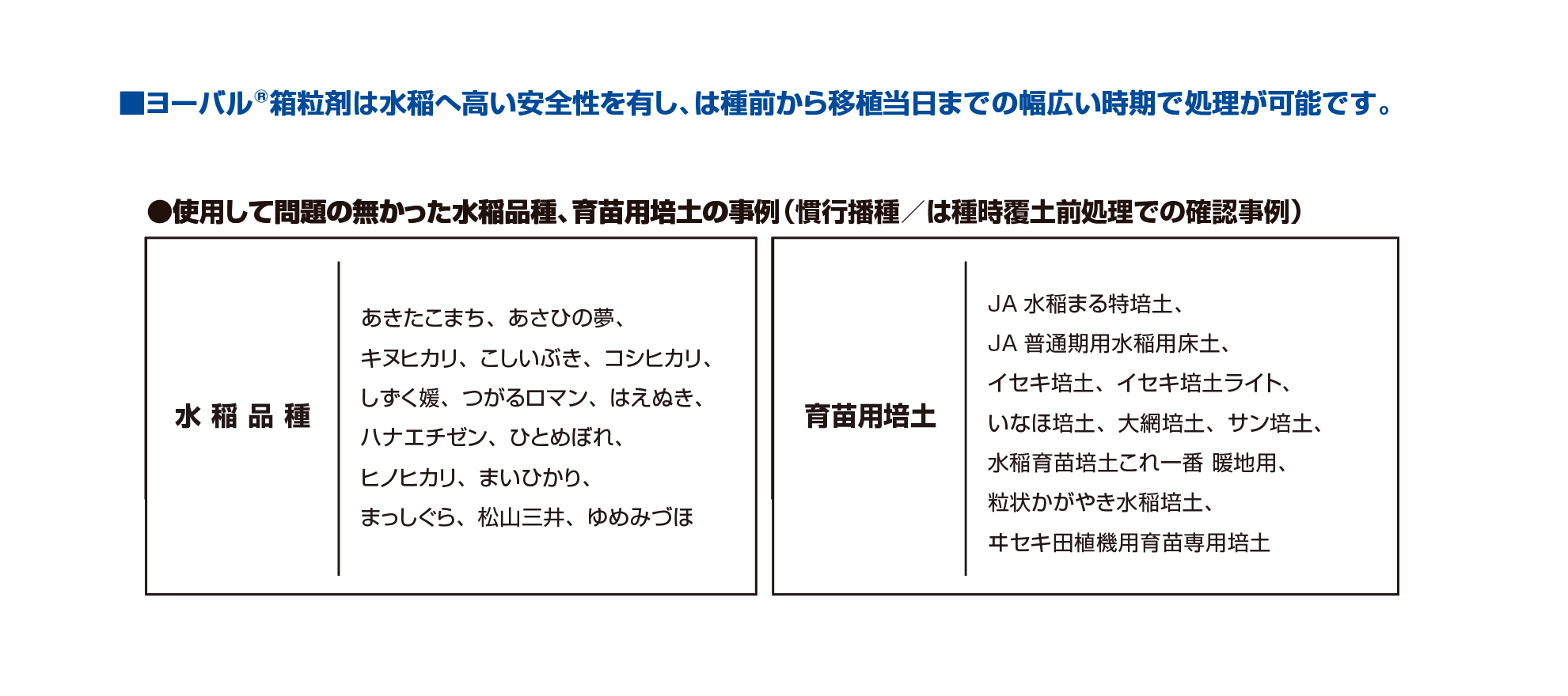 ヨーバル®︎箱粒剤の水稲への安全性